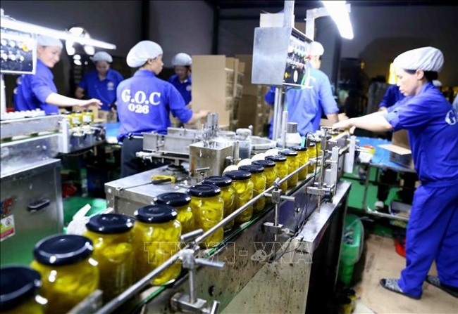 Giới thiệu công ty